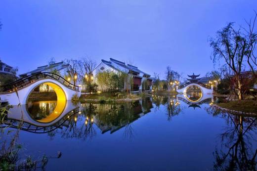 6440 Banyan Tree