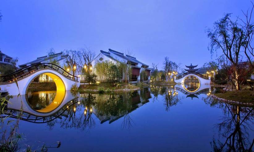 6440 Banyan Tree
