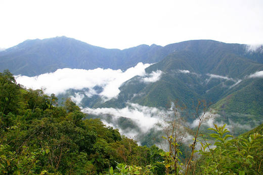 9361 Los Yungas, Coffee Plantations & Wildlife Refuge