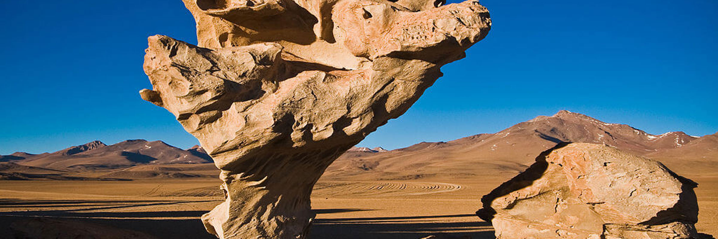 4000 Deserts Of Siloli & Dali