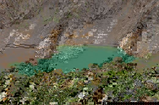 9256 Irazu Volcano & Lankester Botanical Gardens