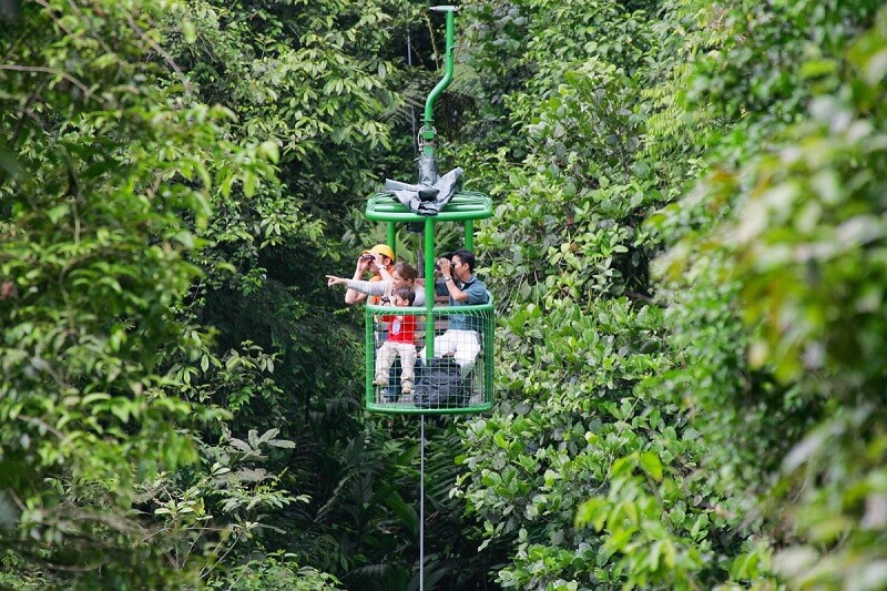 Visitor glide above lish rainforest in an open air tram, spotting wildlife and enjoying panoramic views of Costa Rica's jungle canopy. 