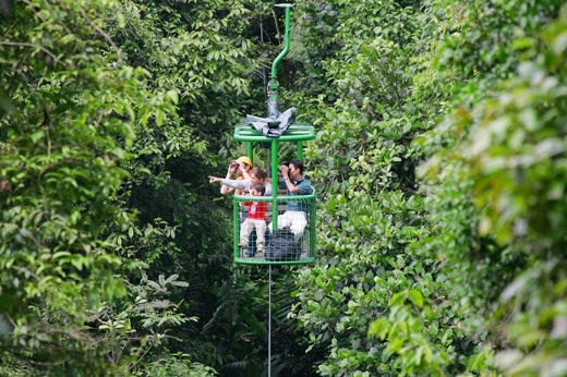 Visitor glide above lish rainforest in an open air tram, spotting wildlife and enjoying panoramic views of Costa Rica's jungle canopy. 