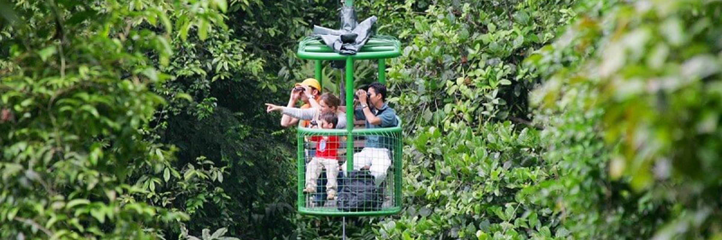 Visitor glide above lish rainforest in an open air tram, spotting wildlife and enjoying panoramic views of Costa Rica's jungle canopy. 