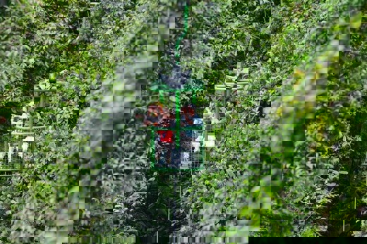 9259 Rainforest Aerial Tram