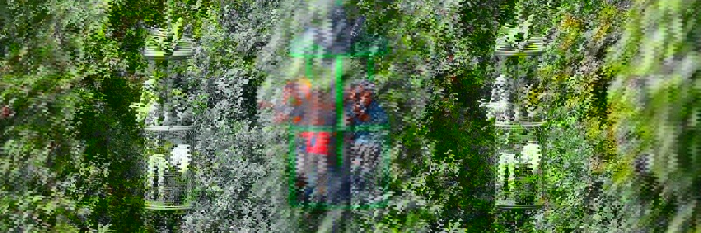 9259 Rainforest Aerial Tram