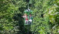 9259 Rainforest Aerial Tram