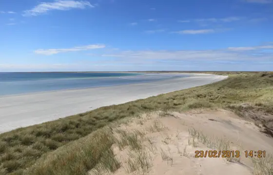 2755 Pebble Island