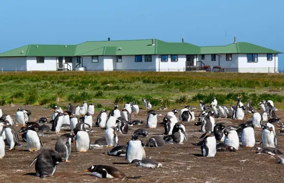 2754 Sea Lion Island