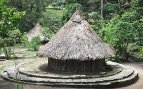 3936 Archeology In Tayrona