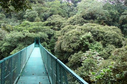A suspension bridge stretches through the dense green canopy of Costa Rica's cloud forest, offering a scenic treetop view.