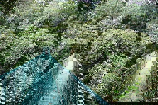 9268 Sky Walk