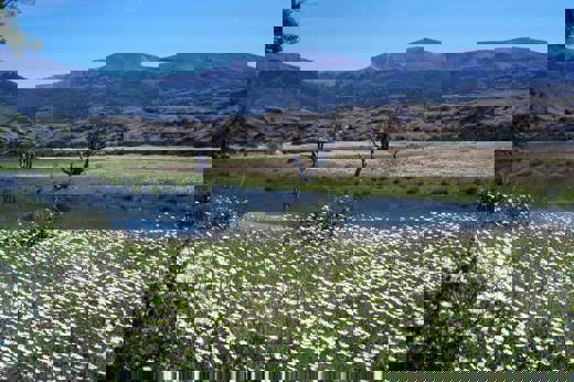 Wildflowers and a peaceful river set the scene in the Enchanted Valley, Torres del Paine, ideal fore horseback riding in Patagonia. 
