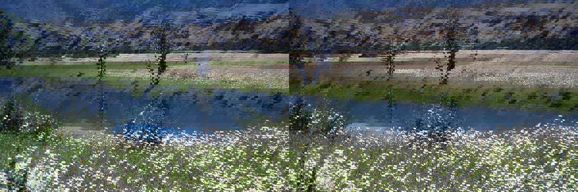 Wildflowers and a peaceful river set the scene in the Enchanted Valley, Torres del Paine, ideal fore horseback riding in Patagonia. 