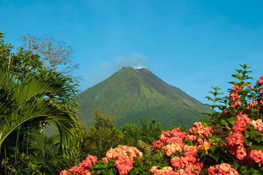 Arenal volcano framed by vibrant pink and red flowers under a bright blue sky in Costa Rica. 