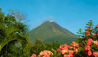 9270 Arenal Volcano Hike & Hot Springs