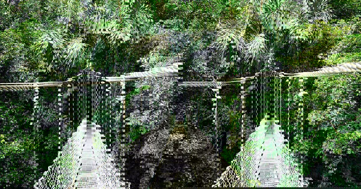 Arenal hanging bridges entrance fee