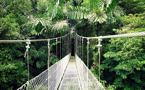 9271 Arenal Hanging Bridges