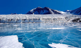 Image for: 8333 Discovering Antarctica