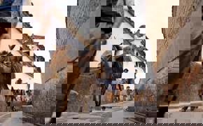 Shangri La