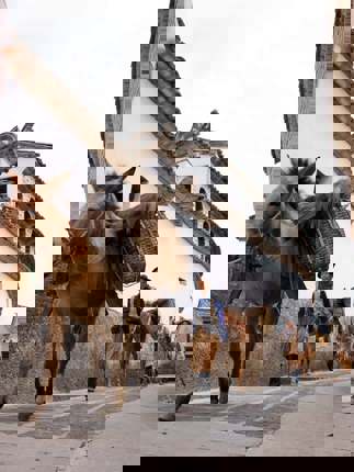 Shangri La