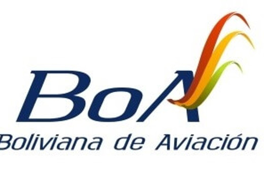 8713 Boa