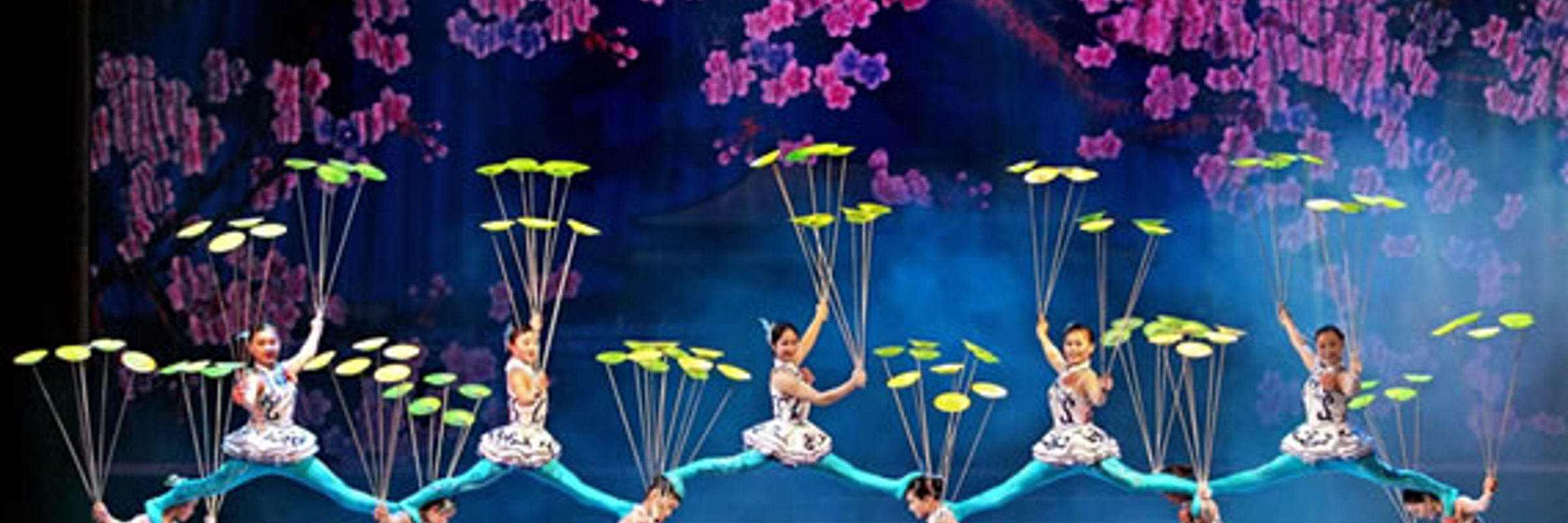 5897 Opera, Kung Fu & Acrobatics