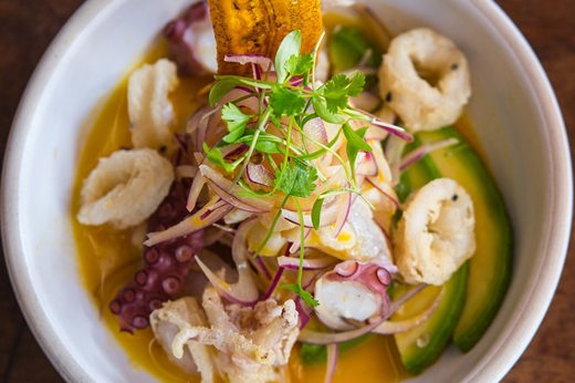 7639 Peruvian Señor Ceviche