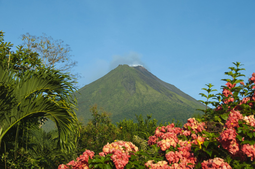 Arenal Volcano framed by lush tropical plants and blooming flowers under a clear blue sky. 