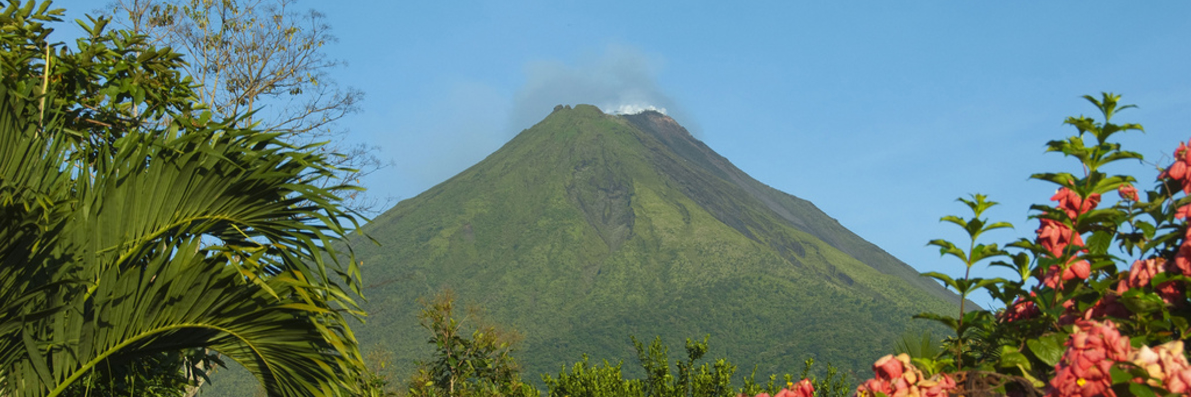 Arenal Volcano framed by lush tropical plants and blooming flowers under a clear blue sky. 