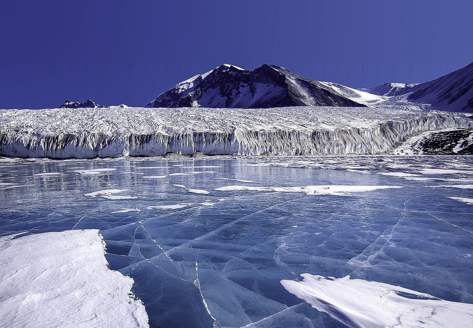 4205 Antarctica
