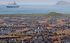 12341 Where To Combine With Antarctica