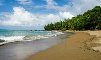 Image for: 4333 Beaches