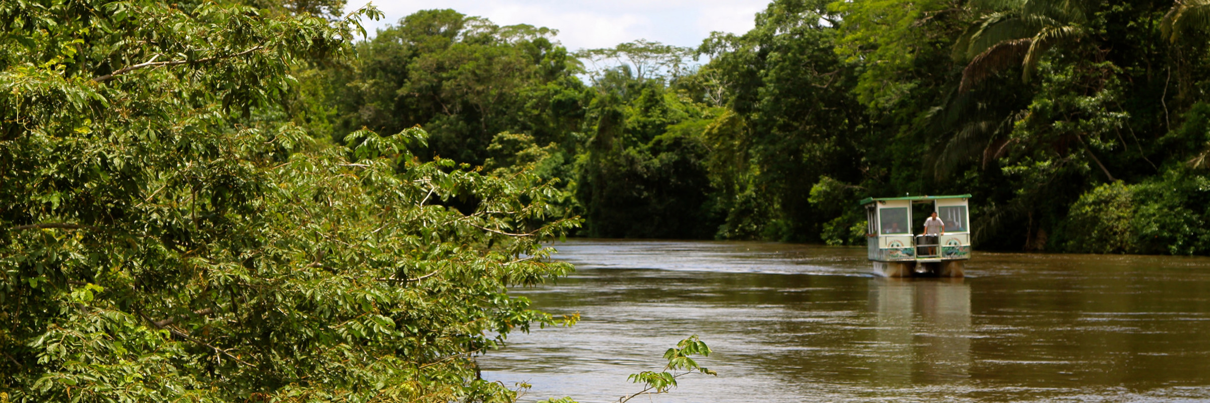 Scenic boat ride along the Rio Frio, surrounded by lush vegetation in the Cano Negro Wildlife Refuge. 