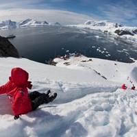 12344 Antarctica Activities & Excursions