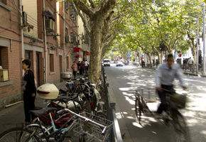 8992 French Concession By Bike