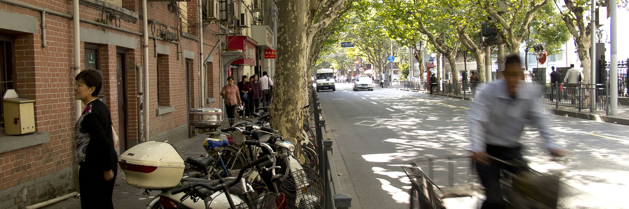 8992 French Concession By Bike