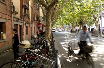 8992 French Concession By Bike