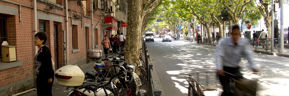 8992 French Concession By Bike