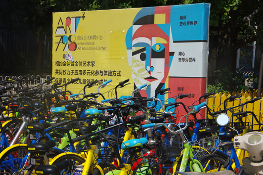 6336 798 Art Zone