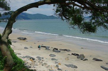 5921 Lantau Island