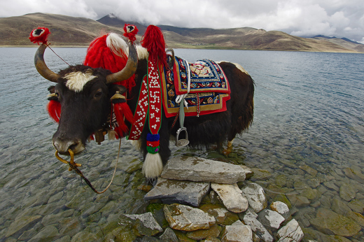 9293 Yamdrok Lake