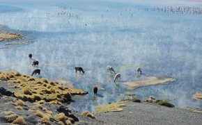 8822 A Landscape Photographers Dream In Bolivia