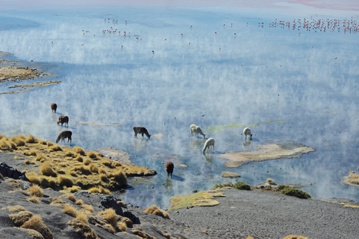 8822 A Landscape Photographers Dream In Bolivia