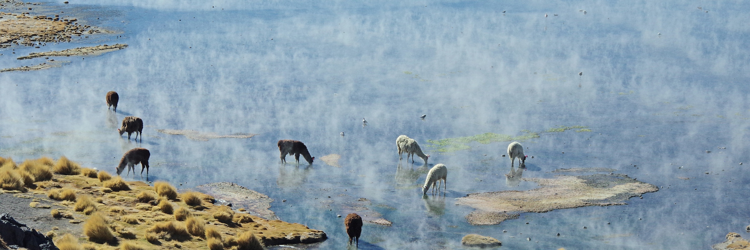 8822 A Landscape Photographers Dream In Bolivia