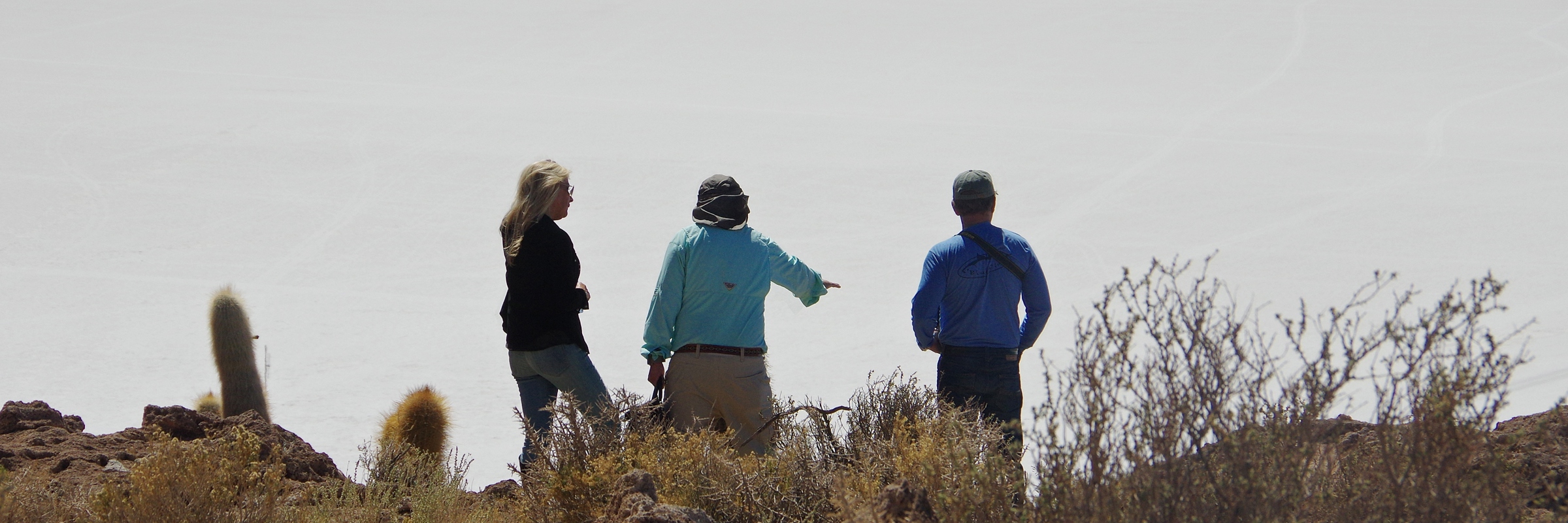 8753 Into Bolivias Great White Expanse