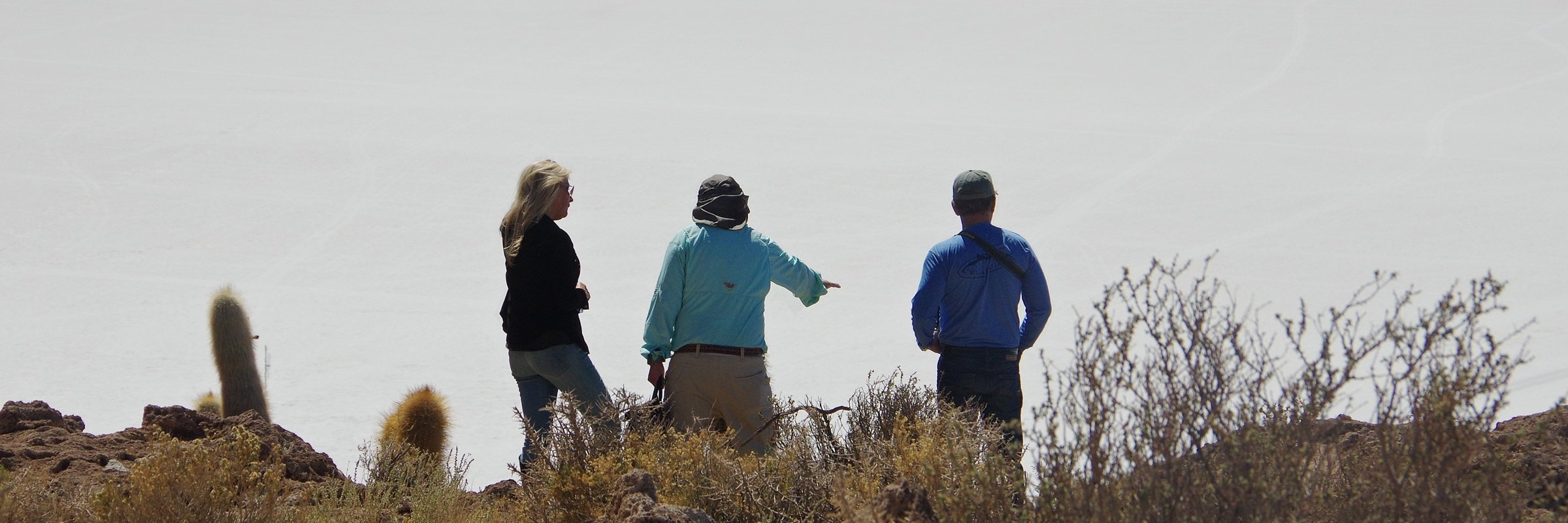 8753 Into Bolivias Great White Expanse