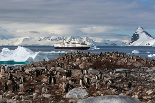 12343 When To Visit Antarctica