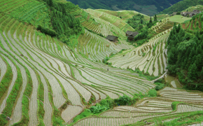 9667 Where To Visit In China: Complete Guide