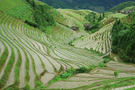 9667 Where To Visit In China: Complete Guide